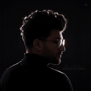 Profile picture of ‌Amir Mohseni‌