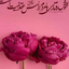 Profile picture of ‌پرواز سنجاقک‌