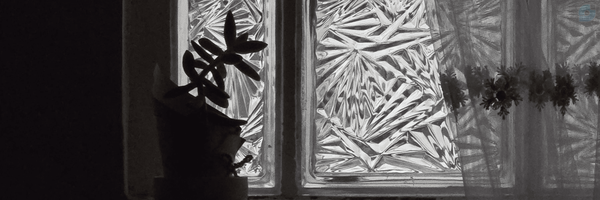 ‌مجنونِ³¹⁴‌'s header picture