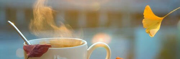 ‌majid 🫰‌'s header picture