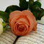 Profile picture of ‌خانم مهندس فاطمه رحیمی‌