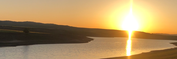 ‌سید علی موسوی فرد‌'s header picture