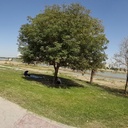 Profile picture of ‌ماهان ماهانی‌