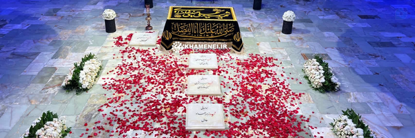 ‌رضا سلطان قیس‌'s header picture