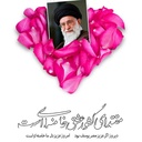 Profile picture of ‌سید محسن حسینی‌