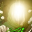 Profile picture of ‌ایزد مهر و النجم‌