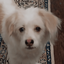 Profile picture of ‌مهدی | 𐬨𐬀𐬵𐬛𐬈‌