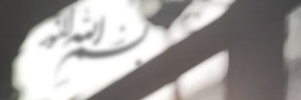 ‌محدثه تقی زاده‌'s header picture