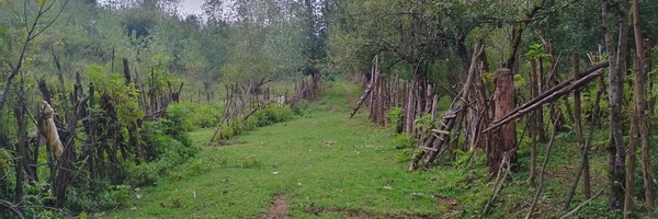 ‌جهان فراهانی‌'s header picture