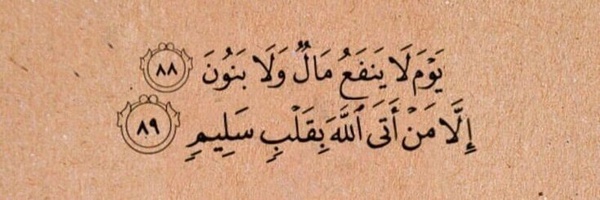 ‌سید امیرحسین موسوی‌'s header picture