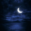 Profile picture of ‌Masoomeh‌