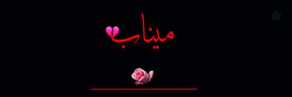 ‌آمیرزا ذکریا✓🇮🇷🖤‌'s header picture