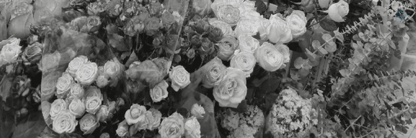 ‌فاطمه‌سَیاحي ؛‌'s header picture