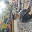 روضه خانگی سیدسپهرهاشمی دهکردی 