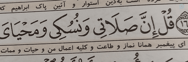 ‌چه ناگوارا m, z‌'s header picture