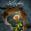 Profile picture of ‌سیدجواد پورمیرجعفری‌