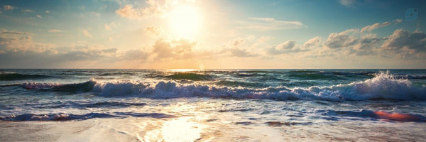 ‌سید محمد موسوی‌'s header picture
