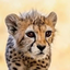 Profile picture of ‌فراز 23‌