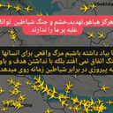 Profile picture of ‌امیر زمان فرش کار‌