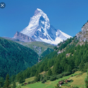 Profile picture of ‌S Soltani‌