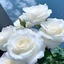 Profile picture of ‌یا زهرا‌