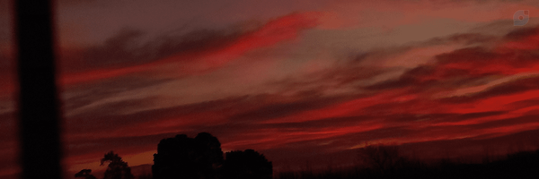‌سیّده اَسماء🎒‌'s header picture