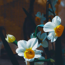 Profile picture of ‌فاطمه سادات موسوی‌