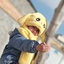 Profile picture of ‌عزت قربانی‌