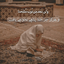 Profile picture of ‌در بند حسین‌