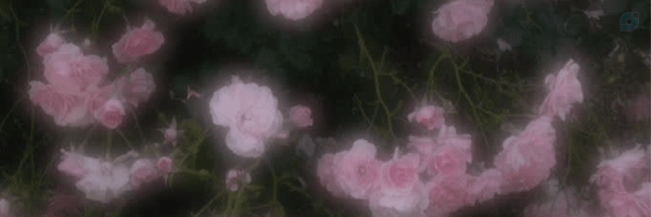 ‌𝚂𝚊𝚑𝚊𝚛🪷‌'s header picture