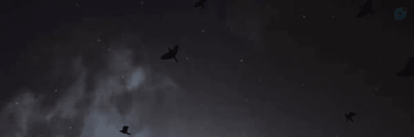 ‌رضا ☫‌'s header picture