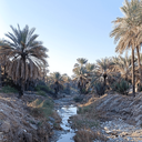 Profile picture of ‌هرمزگان ایران ایران جان‌