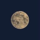 Profile picture of ‌دارهون🌿‌
