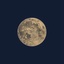 Profile picture of ‌دارهون🌿‌