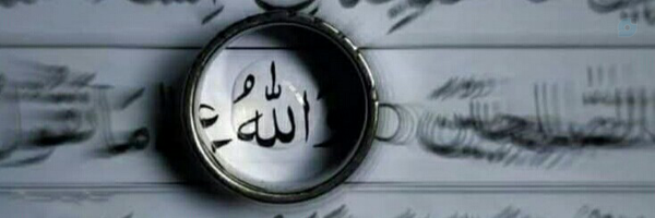 ‌mujib kalkali‌'s header picture