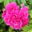 Profile picture of ‌مجتبی ص‌