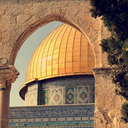Profile picture of ‌مهدی 🇵🇸‌