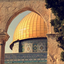 Profile picture of ‌مهدی 🇵🇸‌