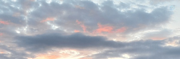 ‌مطهره‌'s header picture