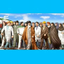 Profile picture of ‌ساکت‌