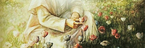 ‌نرگس سادات‌'s header picture