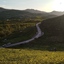 Profile picture of ‌لولیتا‌