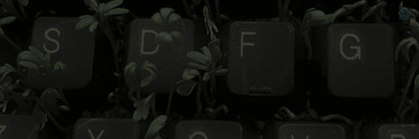 ‌فاطمه صبوری‌'s header picture