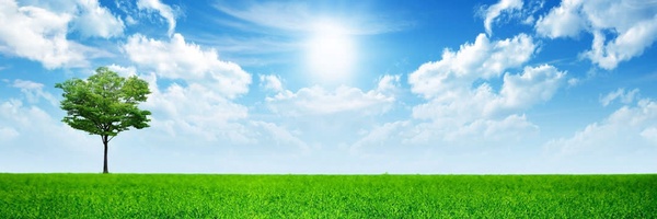‌محمد علی امینی‌'s header picture