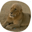 Profile picture of ‌Sadeghi‌