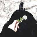 Profile picture of ‌هم نامِ خواهرش🌻‌