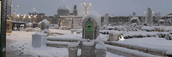 ‌رضا بختیاری‌'s header picture