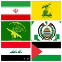 Profile picture of ‌تبار حیدر‌