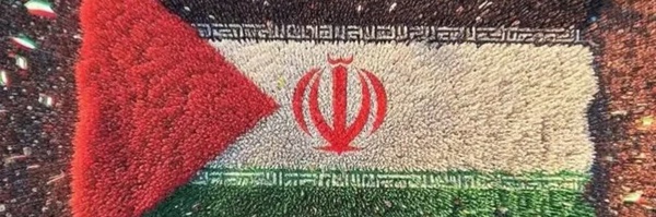 ‌میثم کارگریان‌'s header picture