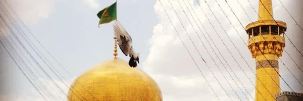 ‌کاظم تمیزی‌'s header picture